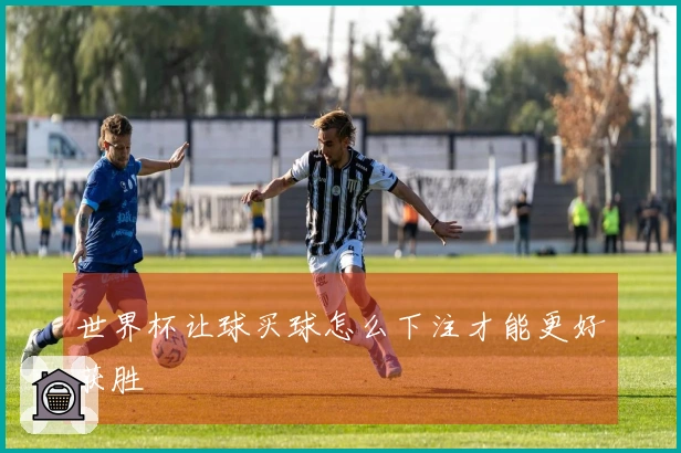 世界杯让球买球怎么下注才能更好获胜