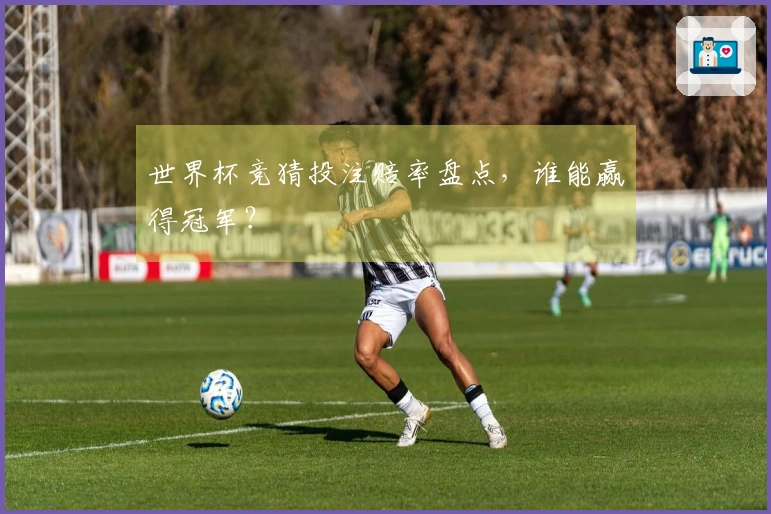 世界杯竞猜投注赔率盘点，谁能赢得冠军？