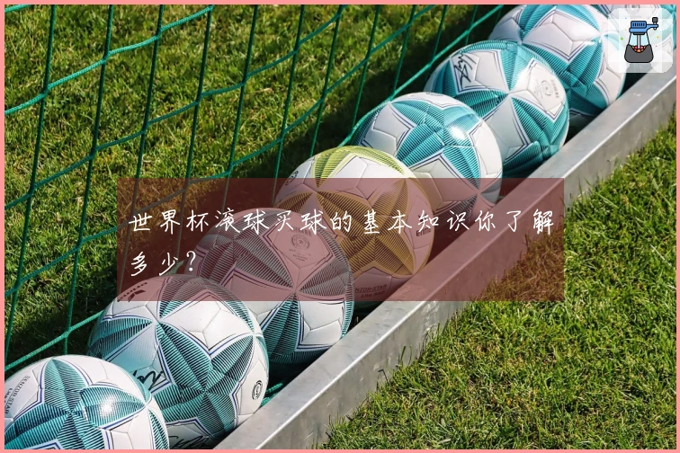 世界杯滚球买球的基本知识你了解多少？