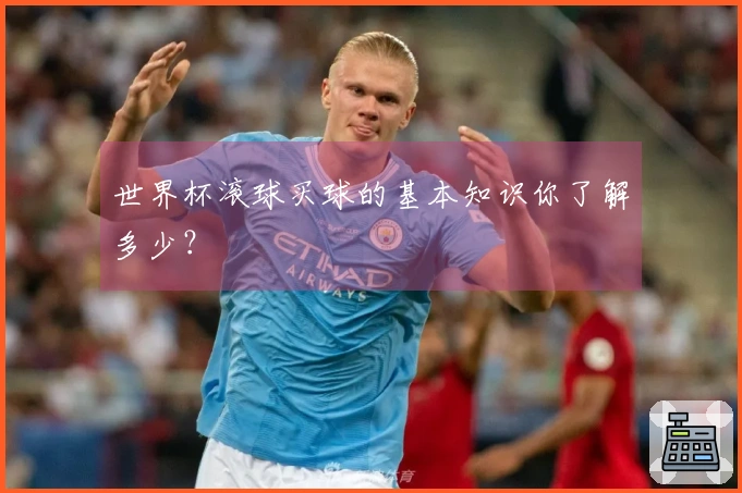 世界杯滚球买球的基本知识你了解多少？