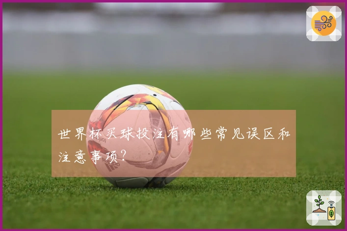 世界杯买球投注有哪些常见误区和注意事项？