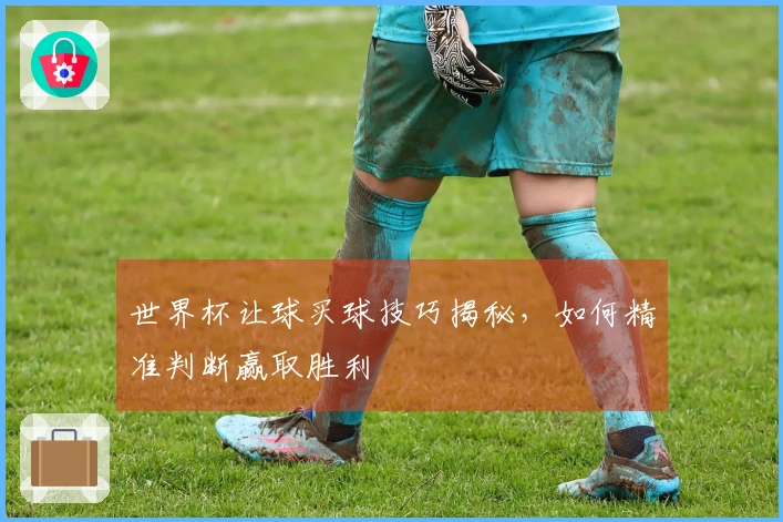 世界杯让球买球技巧揭秘，如何精准判断赢取胜利