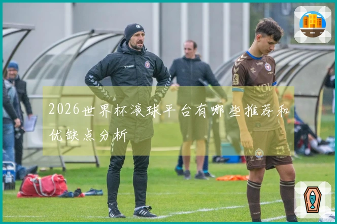 2026世界杯滚球平台有哪些推荐和优缺点分析