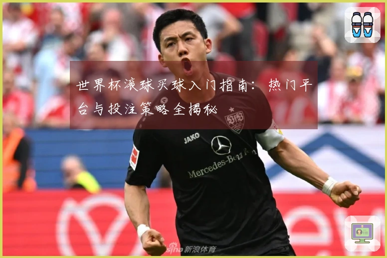 世界杯滚球买球入门指南：热门平台与投注策略全揭秘