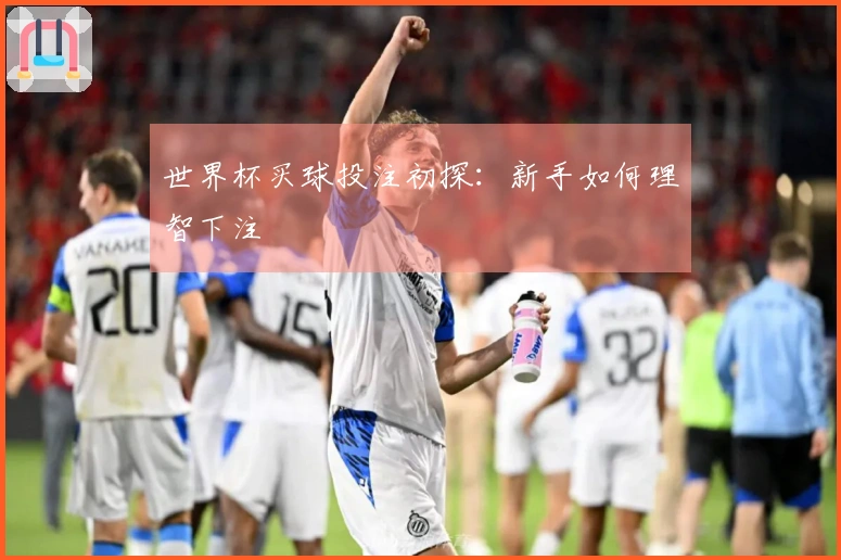 世界杯买球投注初探：新手如何理智下注
